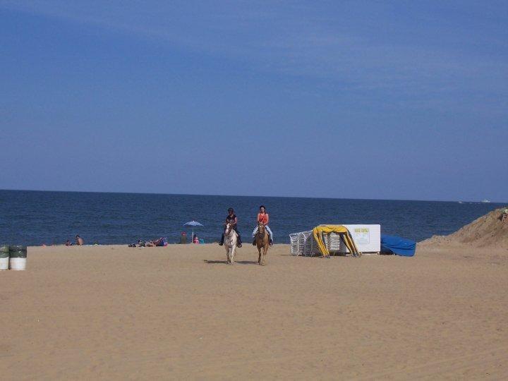Hyatt House Virginia Beach / Oceanfront Eksteriør bilde